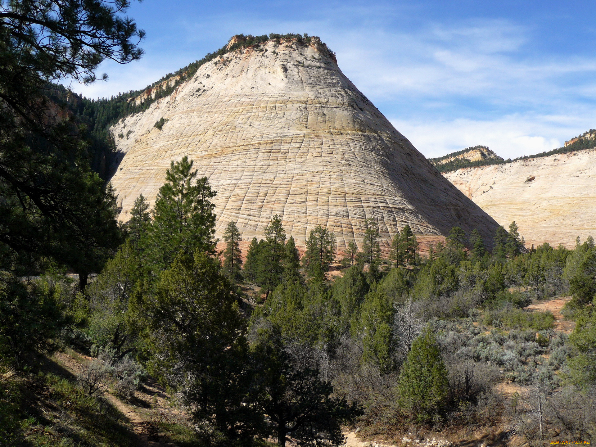 , , checkerboard, mesa, zion, usa, utah, , 